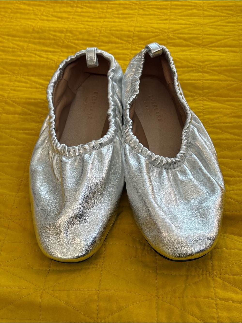 Everlane Leather Ballet Flats